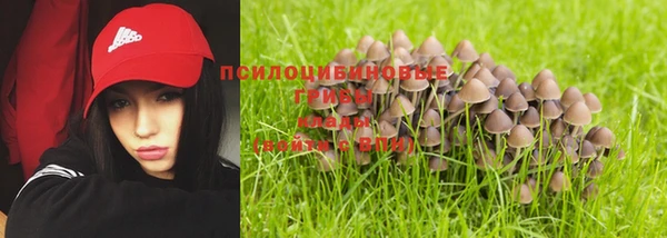 винт Абинск