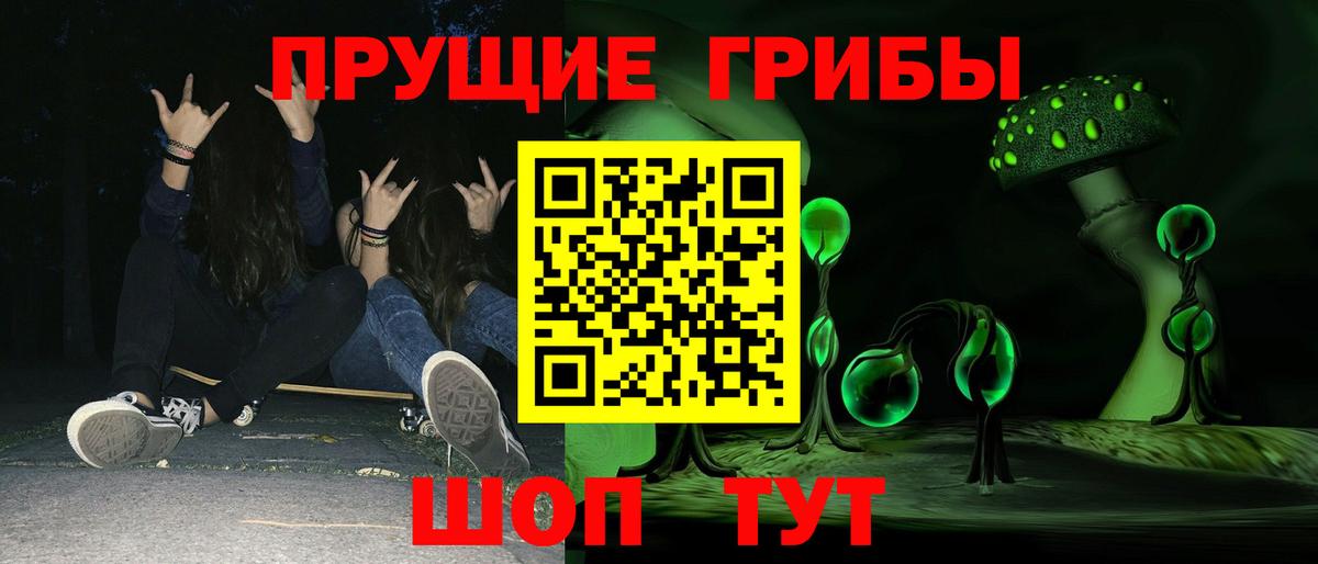 Галлюциногенные грибы Psilocybe Ухта