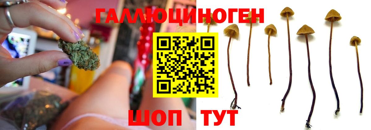 Псилоцибиновые грибы ЛСД  Вход с VPN  Ухта 